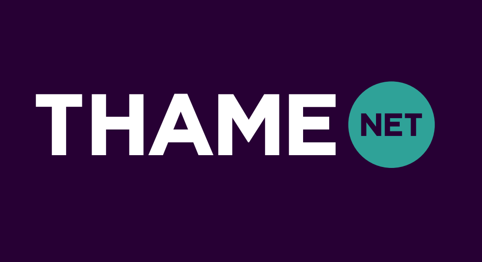 thame net new logo draft