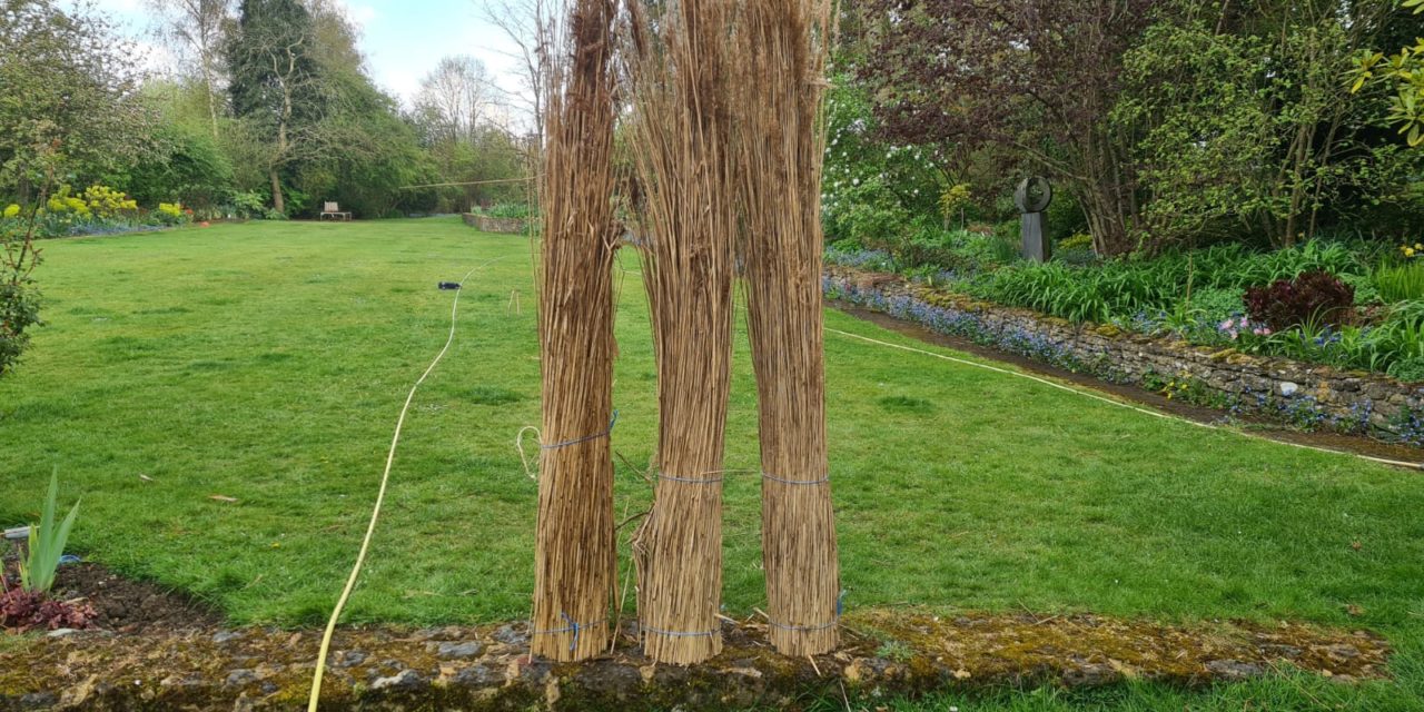 Straw and reed shortages continue to threaten the traditional craft of Thatching