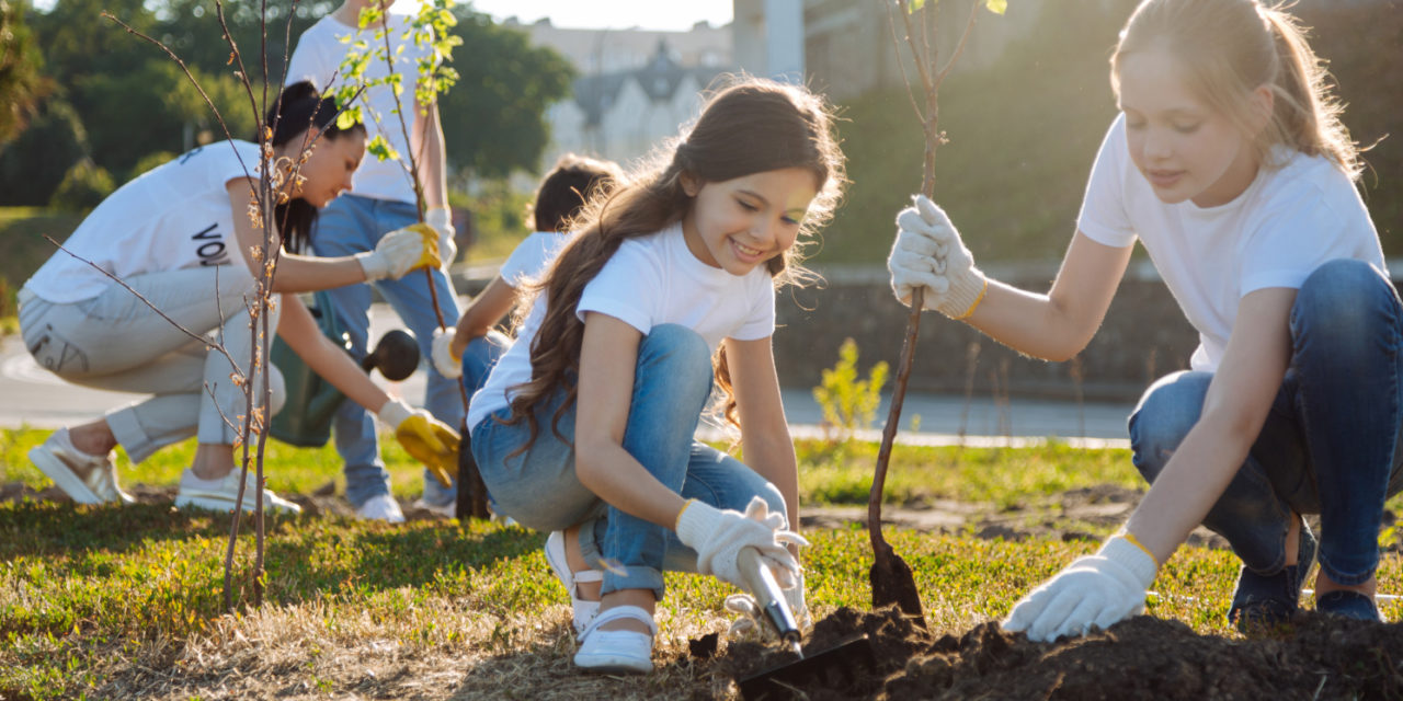 local tree planting in 2021