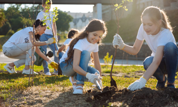 local tree planting in 2021