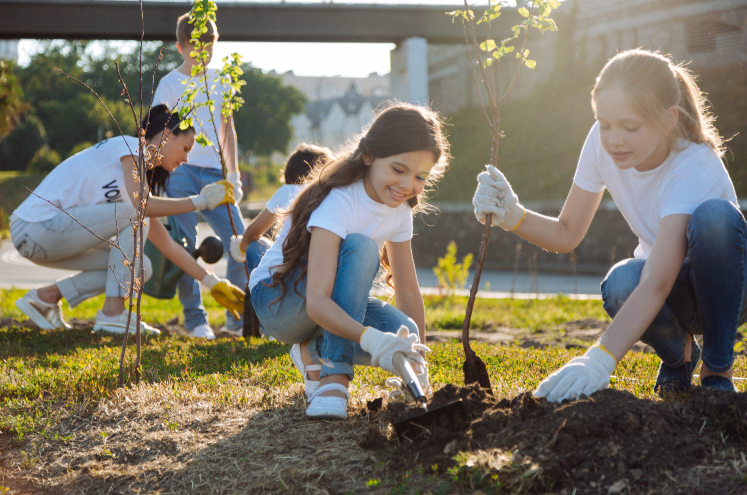 Volunteers planting trees