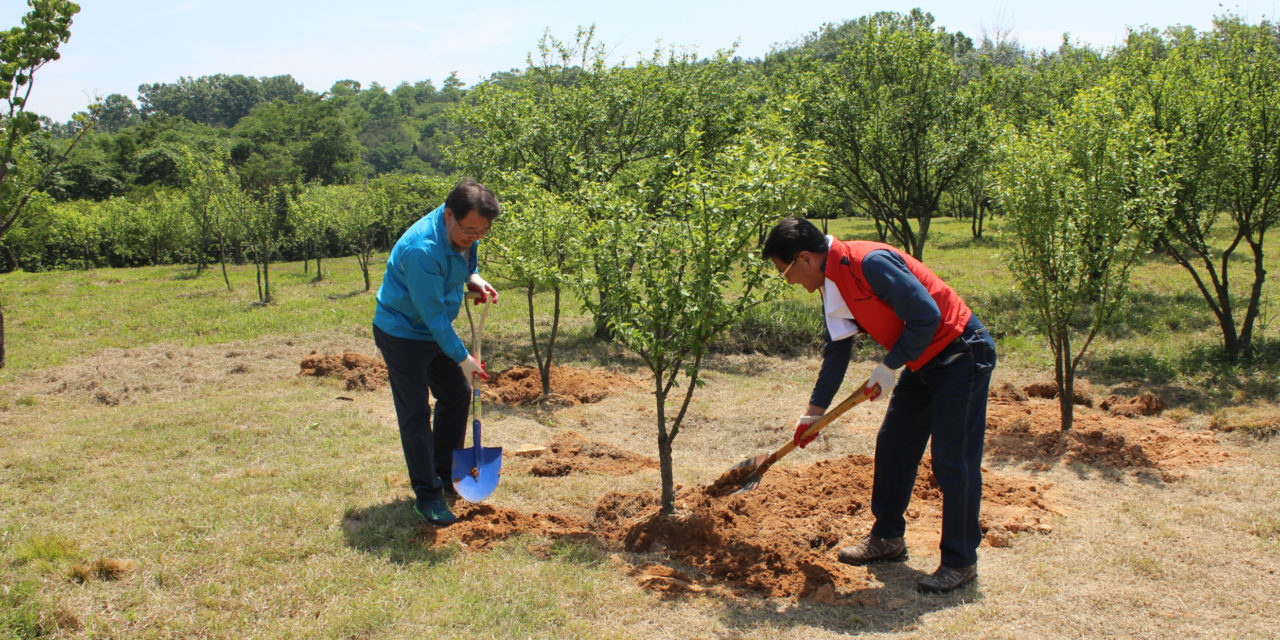 Supporting the environment, Rotary’s new area of focus. Join Rotary Unplugged – online event Wednesday 26 May 7 pm