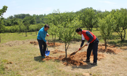 Supporting the environment, Rotary’s new area of focus. Join Rotary Unplugged – online event Wednesday 26 May 7 pm