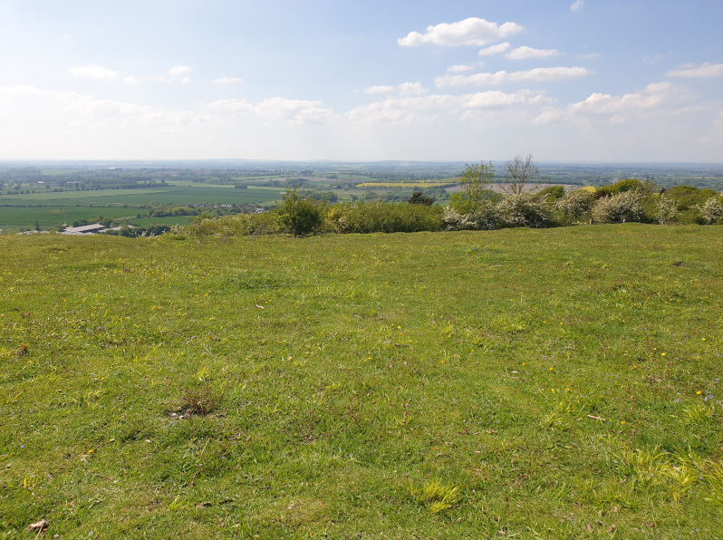 Aston Rowant Nature Reserve