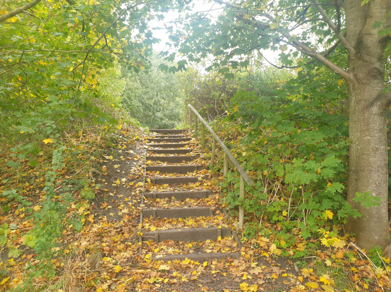 Thame Cuttlebrook Nature Reserve