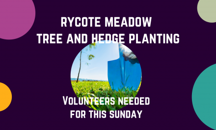 Rycote meadow tree and hedge planting volunteers needed for this Sunday