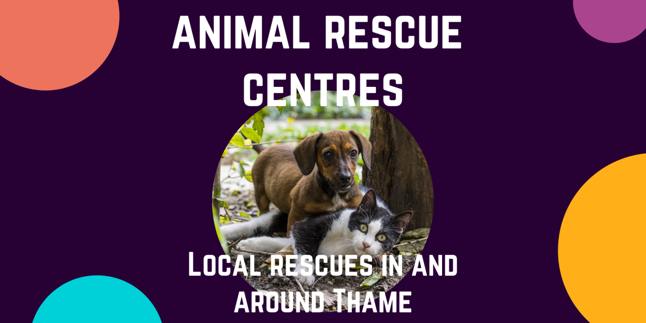 Animal rescue centres within an hour of Thame