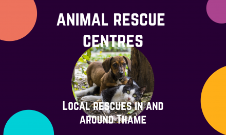 Animal rescue centres within an hour of Thame