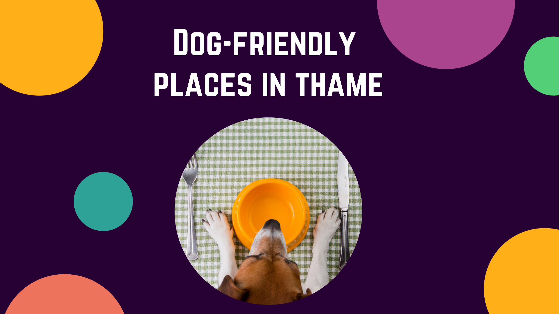 Dog friendly places in Thame