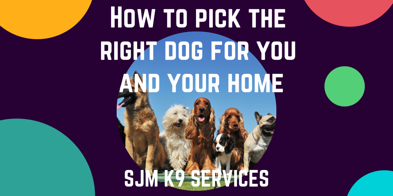 How to pick the right dog for your family to avoid future challenges