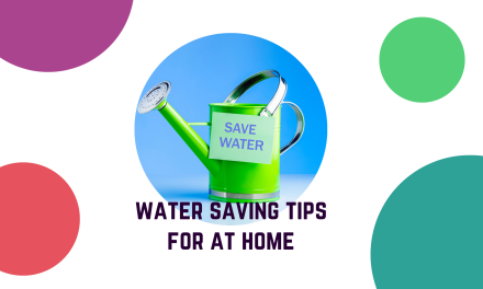 Top tips to save water at home