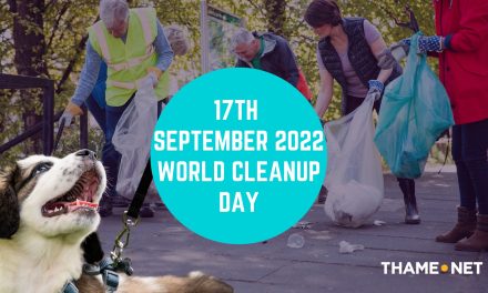 17th September 2022 – World Cleanup Day