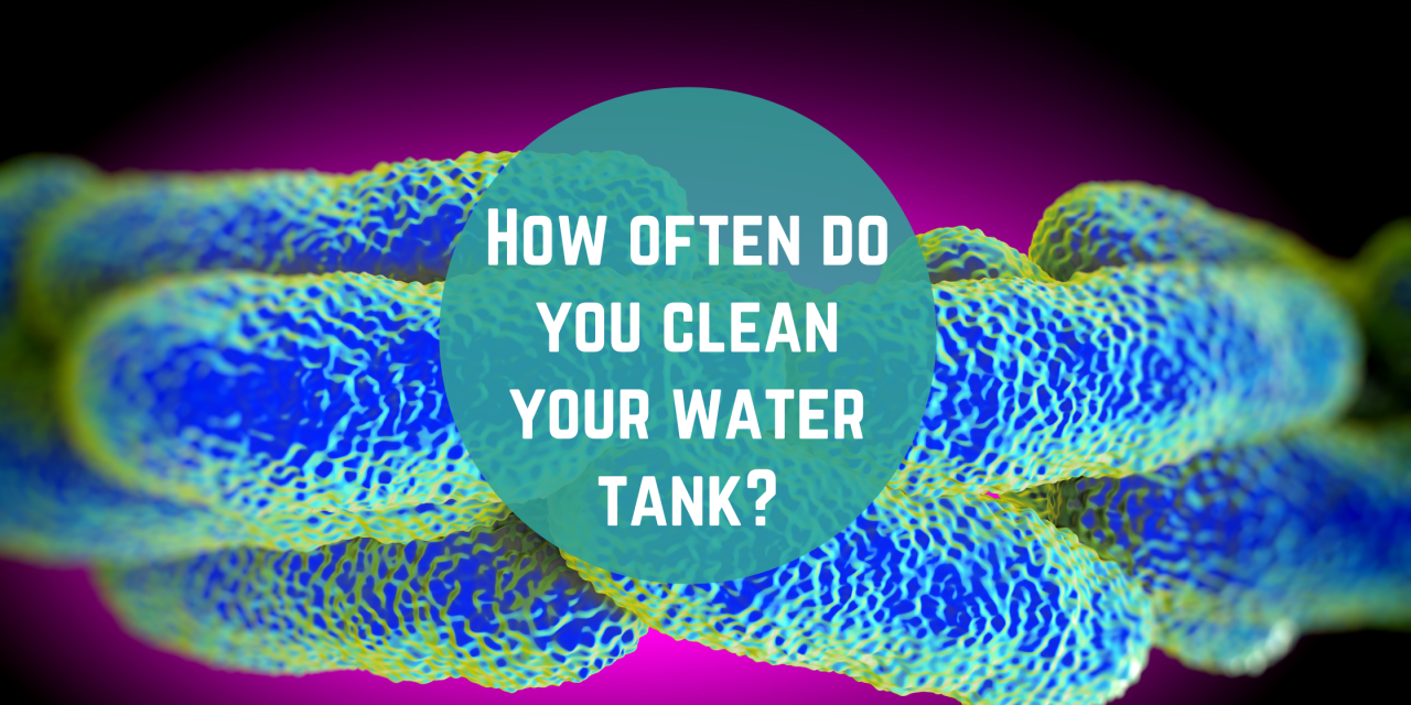 How often do you clean your water tank?