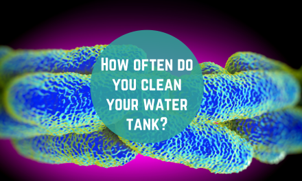 How often do you clean your water tank?