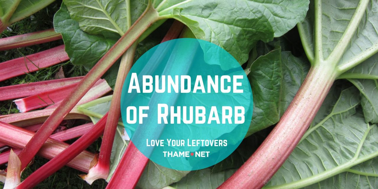 Abundance of Rhubarb