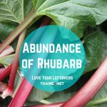 Abundance of Rhubarb