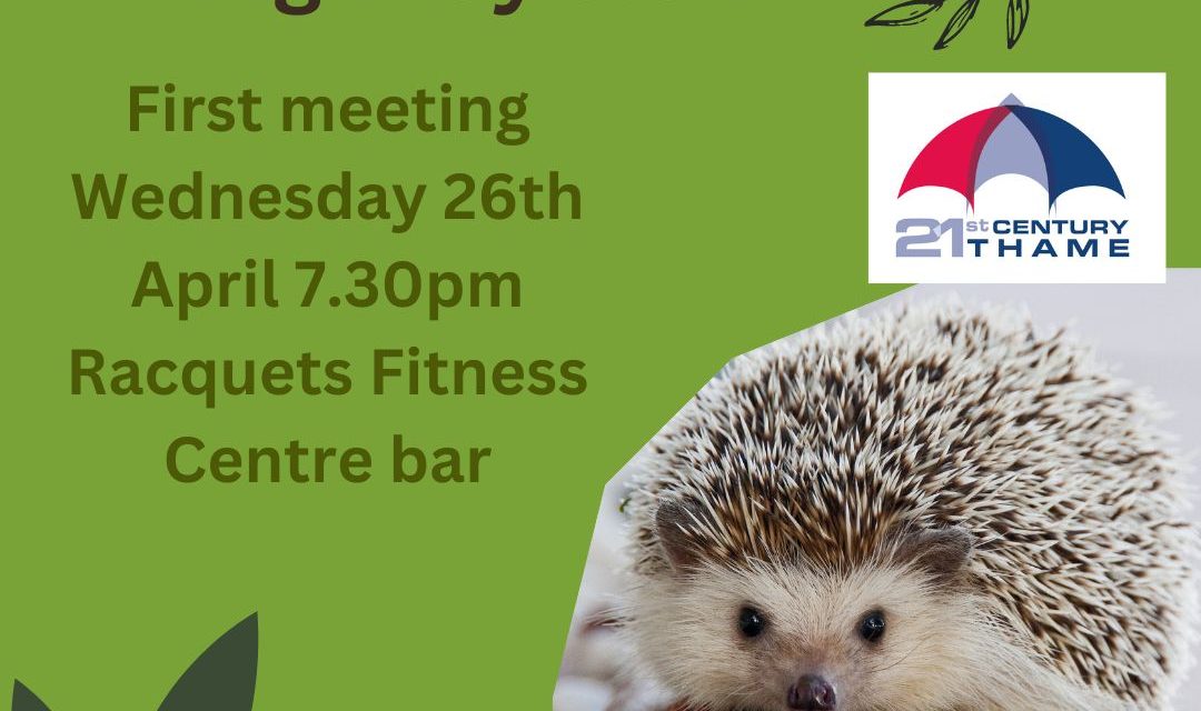 1st 21st Century Thame Hedgehog Highway Team Meeting