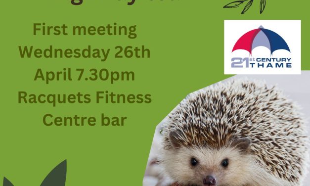 1st 21st Century Thame Hedgehog Highway Team Meeting