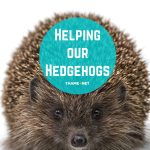 Helping our Hedgehogs