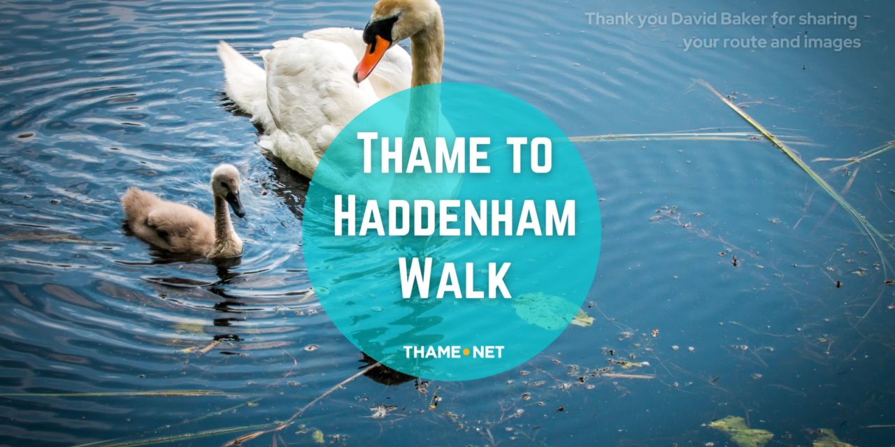 Thame to Haddenham round trip