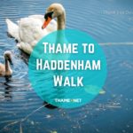 Thame to Haddenham round trip
