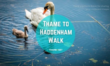 Thame to Haddenham round trip