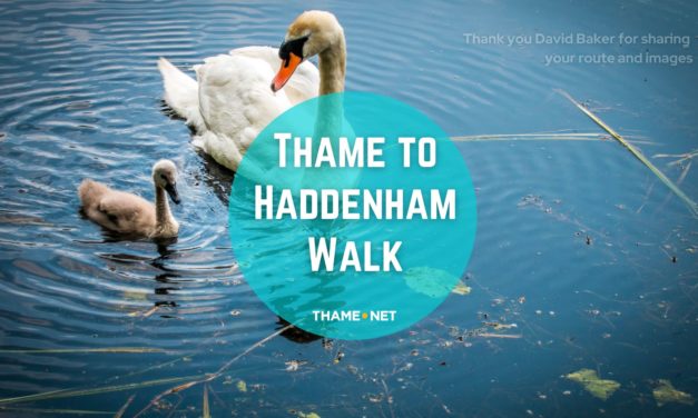 Thame to Haddenham round trip