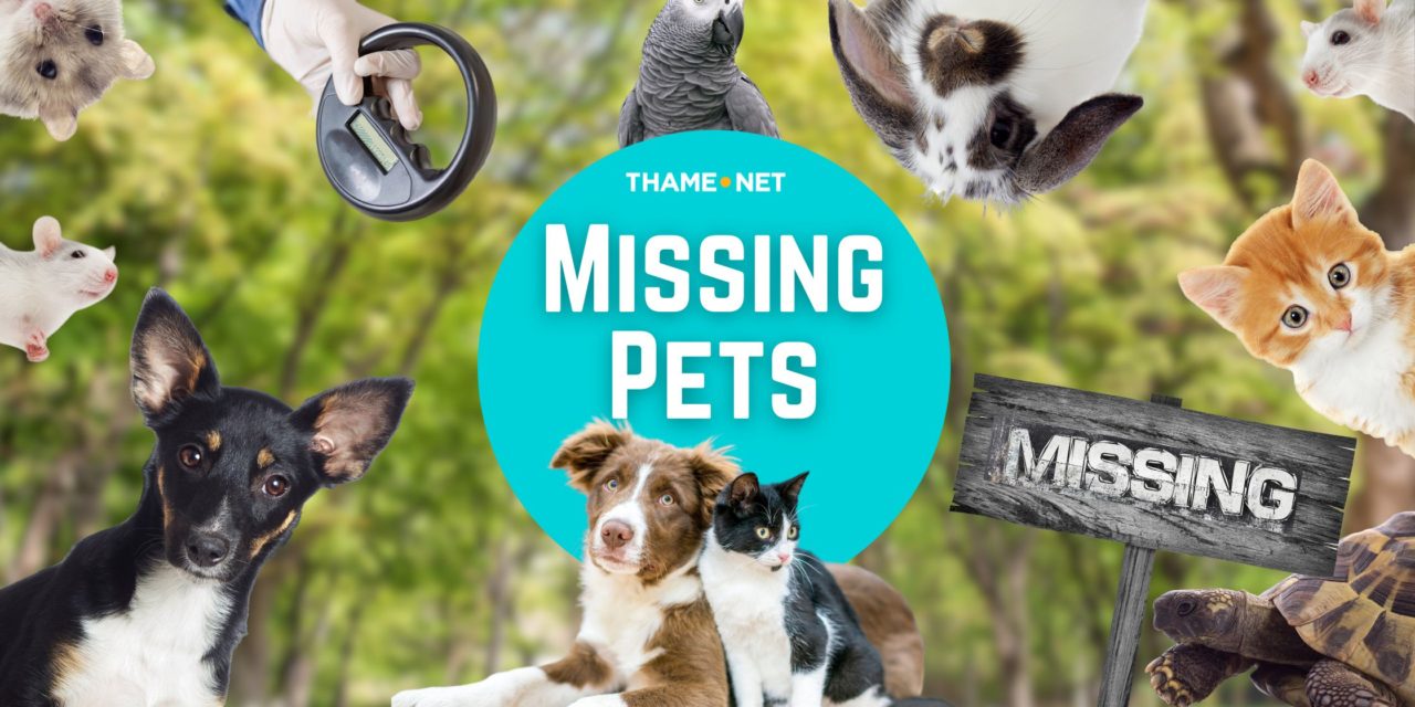 Missing Pets