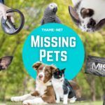 Missing Pets