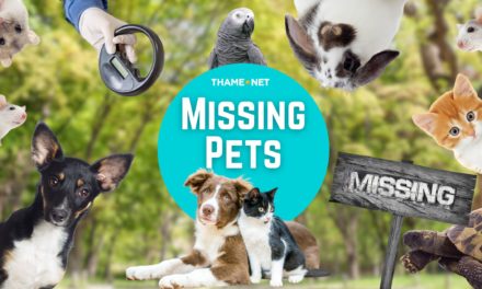 Missing Pets