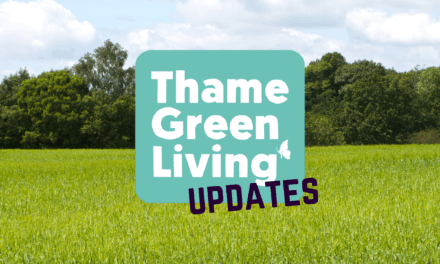 Thame Green Living Website – Fresh Updates for a Greener, Stronger Community