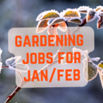 Jobs for the garden this january and february