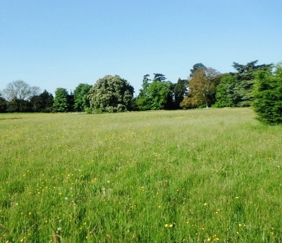 The meadow land at The Elms in Thame where a development of 45 homes is proposed