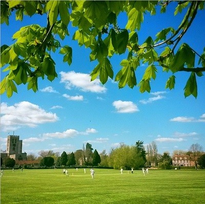 Cricket at Church Meadow, photo coutesy of Mark Lord