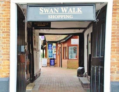 swan_walk (400x310)