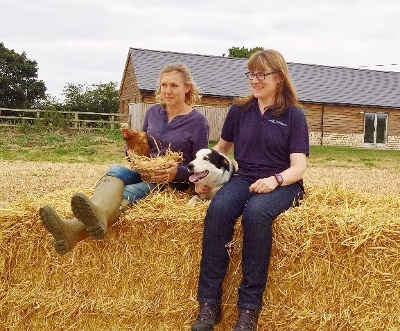 farmers_wives_large (400x331)