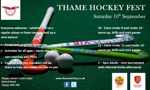 hockey_fest (500x300)