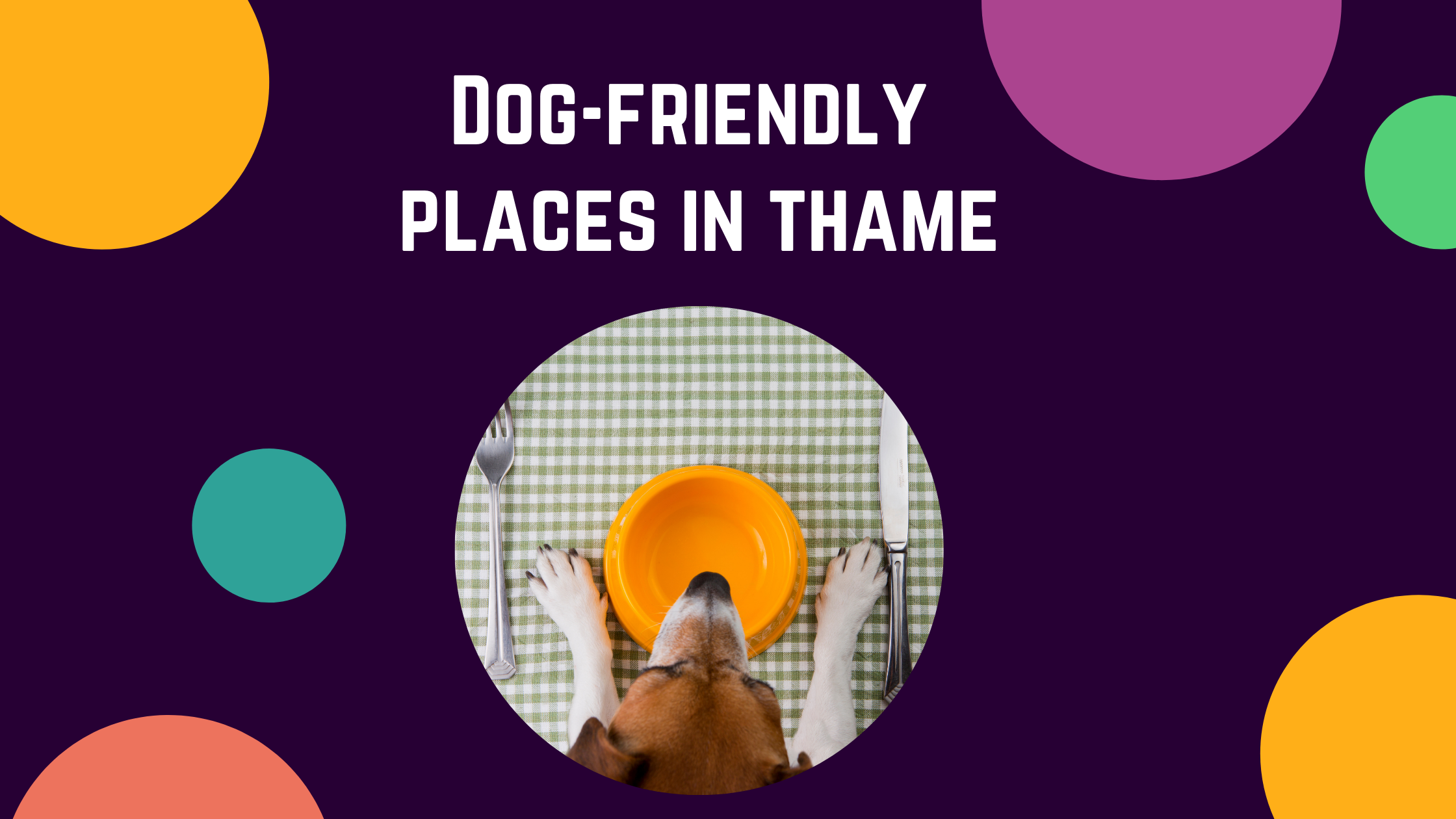 dog friendly places in thame Dog friendly places in Thame